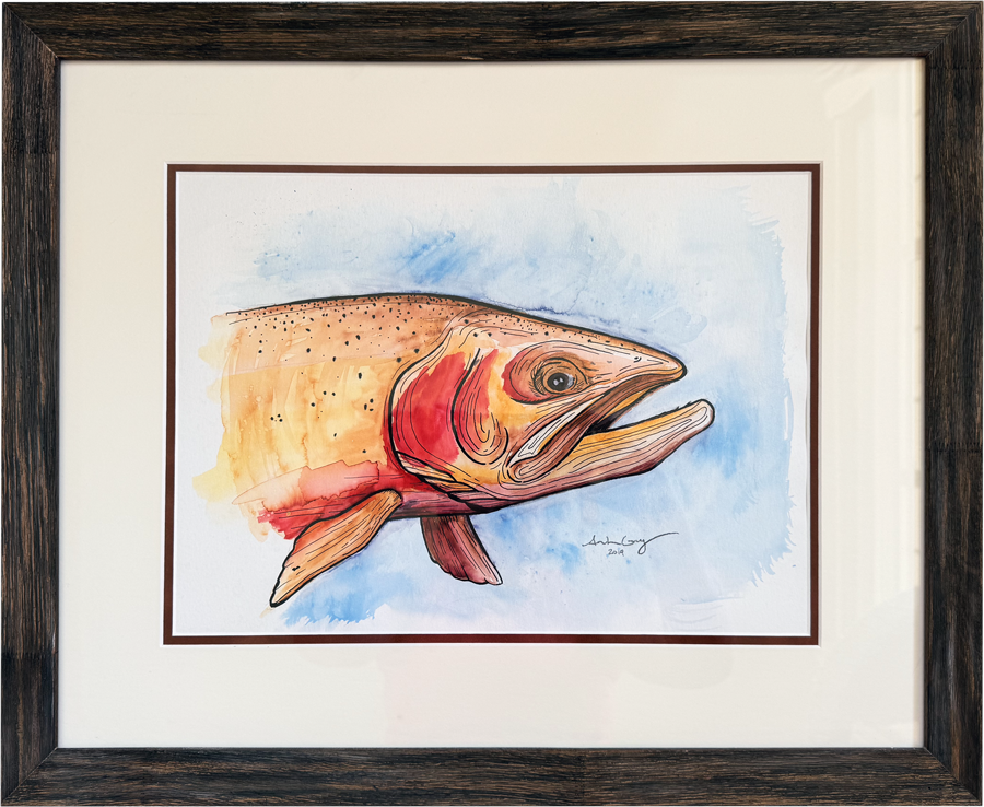 Framed Watercolor Trout painting by Amanda Guy and framed by Burchs Custom Framing